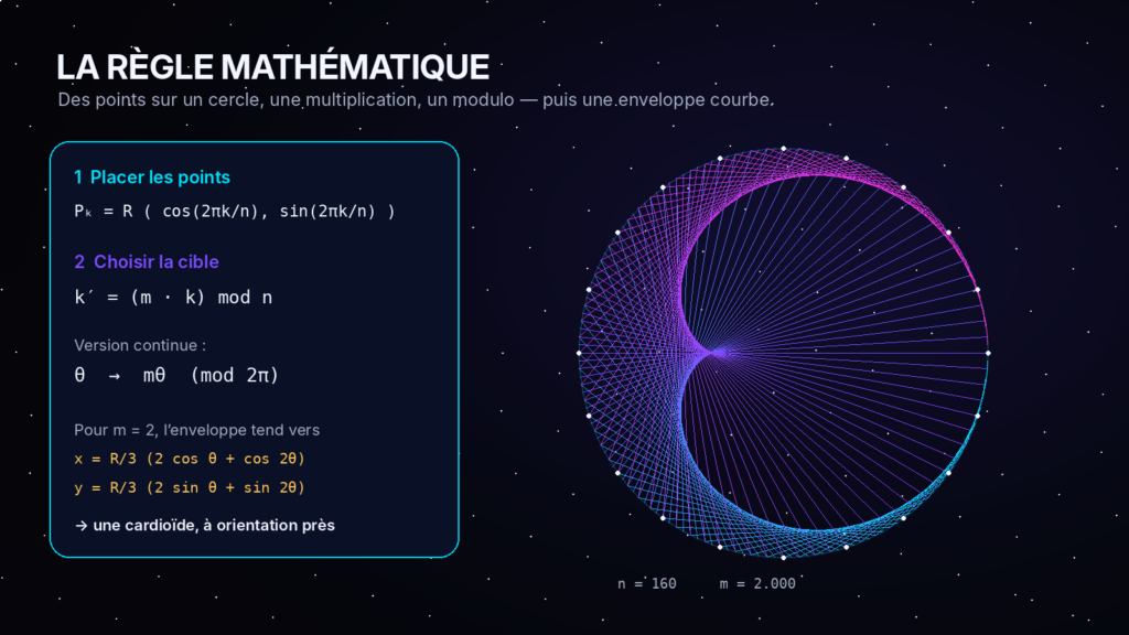 Démonstration visuelle de la multiplication modulo sur un cercle et de l’enveloppe cardioïde pour m égal à 2.
